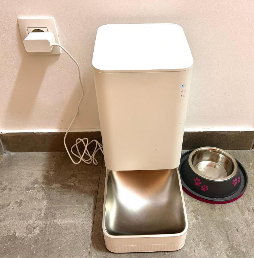 Flat Mara, Pet Friendly Lejlighed Podgorica Eksteriør billede